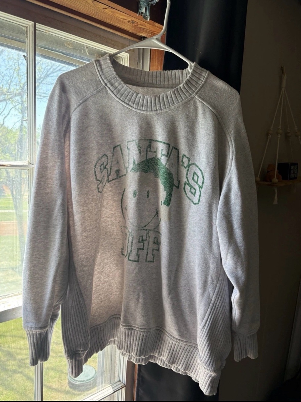 aerie Gray Crewneck Sweatshirt with Green Graphic